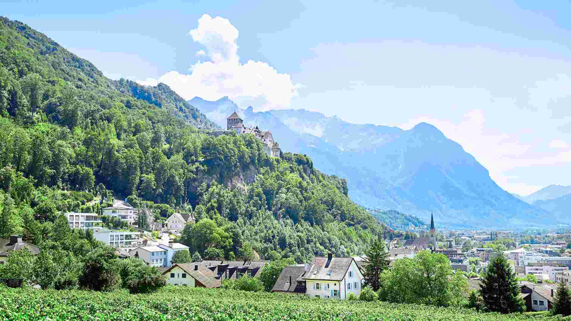 Wine tasting in vineyard